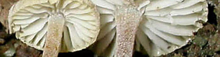 Tanto per cambiare....Quiz!